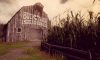 maize_original_2