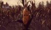 maize_original_4