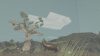 shelter_original_1