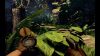 deadfall-adventures_original_4