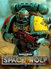 warhammer-40000-space-wolf_cover_original