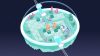 cosmic-express_original_3