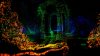 scanner-sombre_original_4