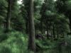 the-elder-scrolls-iv-oblivion_original_4