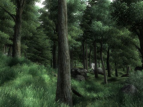 the-elder-scrolls-iv-oblivion_original_4