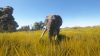 animallica_original_3
