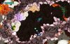 beatbuddy-tale-of-the-guardians_original_3
