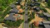 cities-skylines-green-cities_original_2