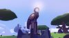 aer_original_5