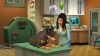 the-sims-4-cats-and-dogs_original_2