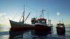 Fishing: Barents Sea Complete Edition