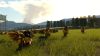final-fantasy-xv-windows-edition_original_4