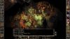 baldur-s-gate-ii-enhanced-edition_original_1