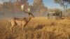 the-hunter-call-of-the-wild-tents-and-ground-blinds_original_0
