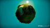 the-universim_original_5