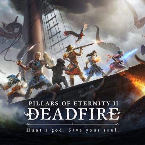 Pillars of Eternity 2 Deadfire PC Steam játék
