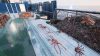 fishing-barents-sea-king-crab_original_2
