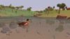 equilinox_original_3