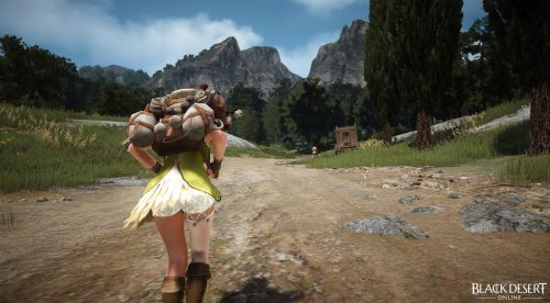 black-desert-online_original_3