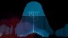 gris_original_1