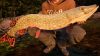 fishing-sim-world-pro-tour-jezioro-bestii_original_2