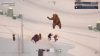 project-winter_original_1