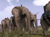 rome-total-war_original_1