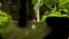 lostwinds-winter-of-the-melodias_original_0