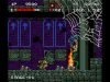 castlevania-anniversary-collection_original_2