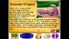 lets-explore-the-jungle-junior-field-trips_original_2