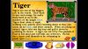 lets-explore-the-jungle-junior-field-trips_original_3