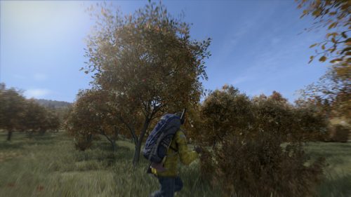 dayz_original_3