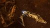 starpoint-gemini-3_original_2
