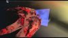 homeworld-emergence_original_2