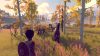 pine_original_0