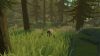 pine_original_3