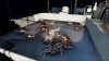 deadliest-catch-the-game_original_0