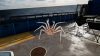 deadliest-catch-the-game_original_3