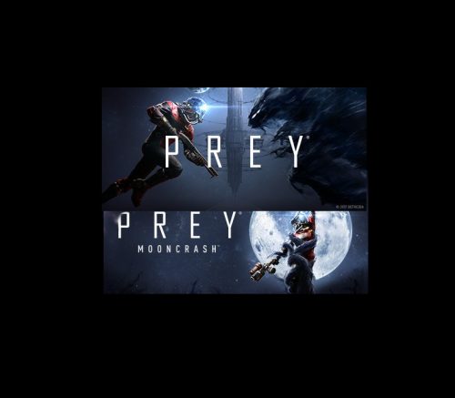 prey_700_3