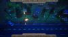 the-last-haven_original_3