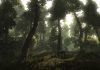 risen_original_1
