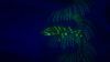 beyond-blue_original_3