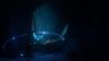 beyond-blue_original_4