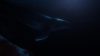 beyond-blue_original_5