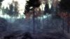 slender-the-arrival_original_4