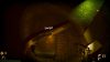 golden-light_original_1