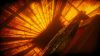 golden-light_original_3