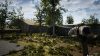 the-infected_original_2