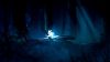 ori-and-the-blind-forest-definitive-edition_original_4