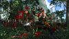 total-war-three-kingdoms-the-furious-wild_original_2